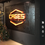 #43　中国の上海のバッティングセンター（Batting cages in Shanghai, China）